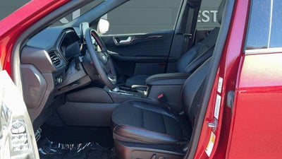 2023 Ford Escape Hybrid ST-Line Select