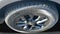 2023 Kia Telluride SX-Prestige X-Pro